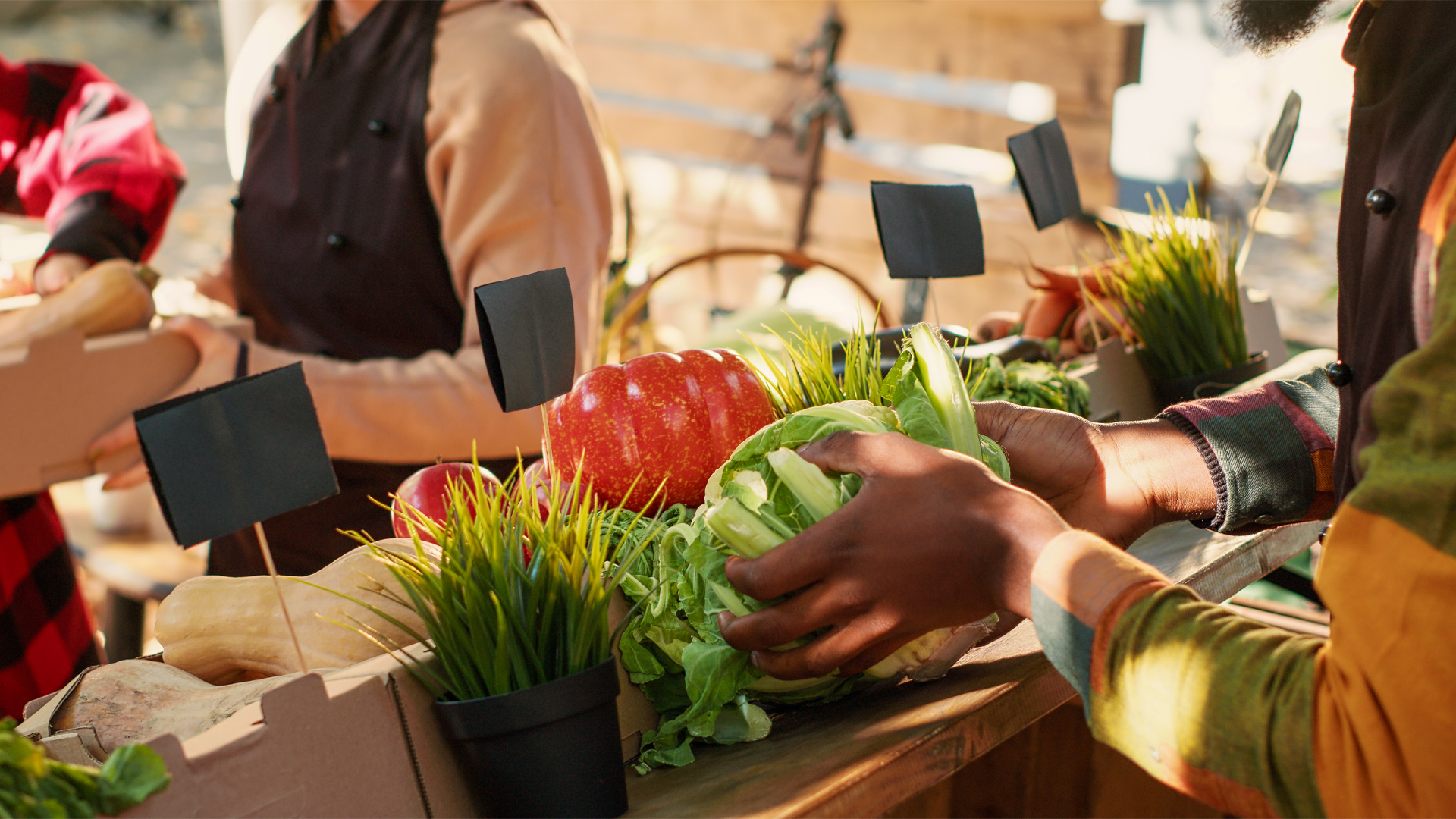 Customers holding shopping basket-H.R. 1 (2025) Is Changing SNAP in Maryland