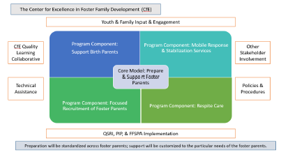 Youth and Family Input and Engagement Model